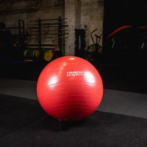 Купить Гимнастический мяч Yousteel Hard 55см в Фокине 